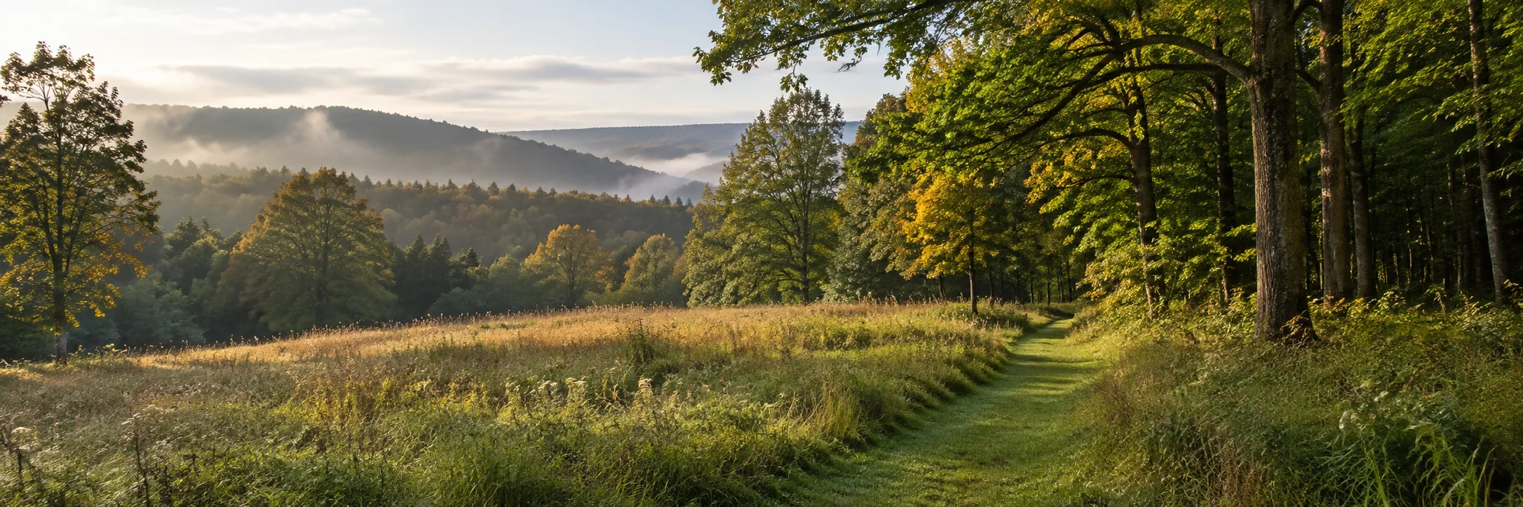 Landscape illustration of a meadow path near wooded Appalachian hills